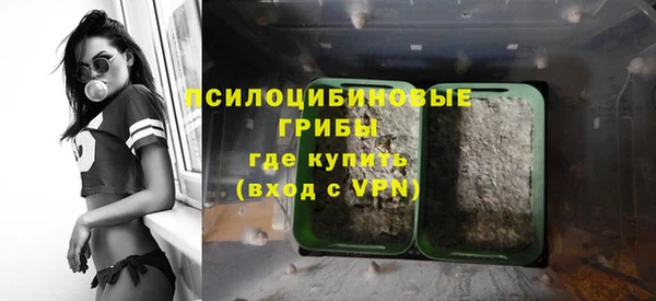 mdpv Богданович