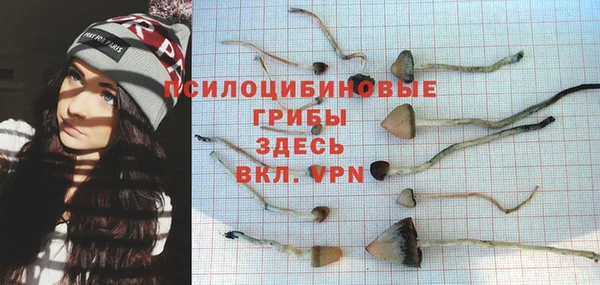 ГАЛЛЮЦИНОГЕННЫЕ ГРИБЫ Богородск