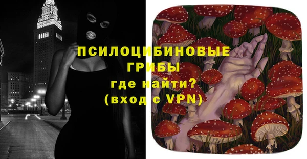 mdpv Богданович