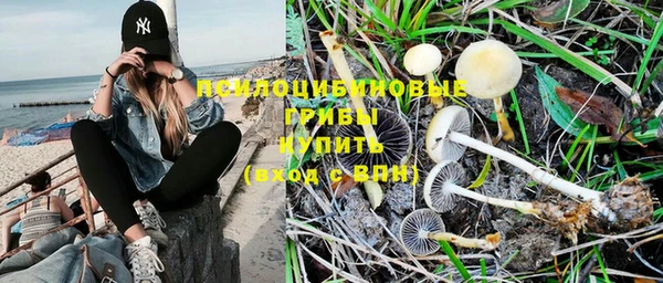 экстази Богородицк