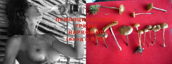 mdpv Богданович