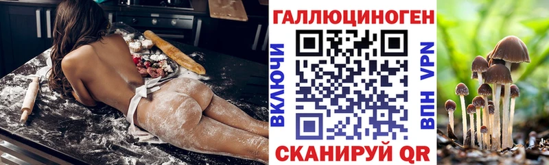 Галлюциногенные грибы Cubensis  Купить где  Миньяр 